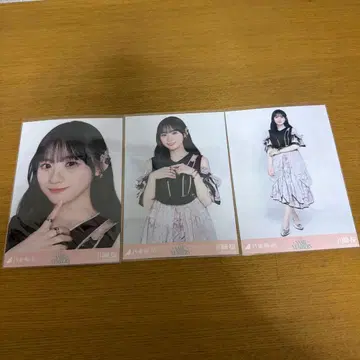 노기자카46 카와사키 벚꽃 same numbers 컴프