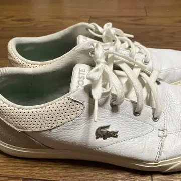LACOSTE 화이트 가죽 스니커즈 26.5