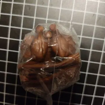 비스켓 올리바 피규어 스윙