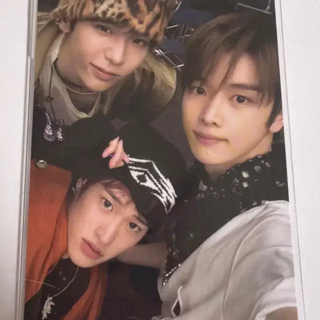 라이즈 fame 앨범 카달로그 유닛 포카 쇼타로 성찬 소희