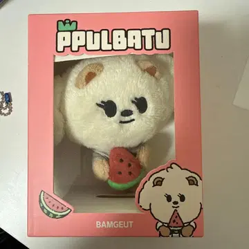 txt 범규 키링 봉제 인형 박스 있음 범규