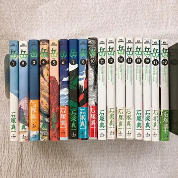 이시즈카 신이치 9권 외 1권부터 18권까지 17권 세트