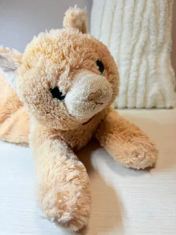 엎드린 고양이 봉제 인형 (대)