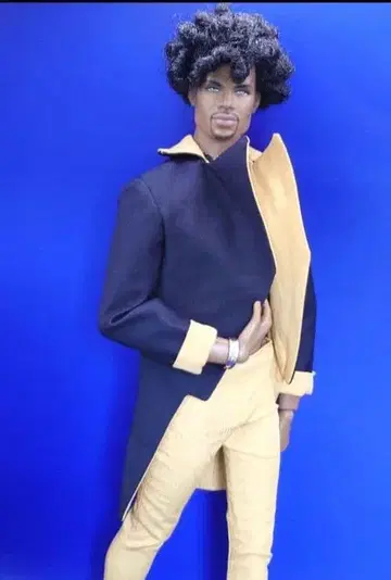 패션 로열티 포피 파커 바비 인형 1/6 인형