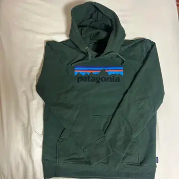 Patagonia 후드티
