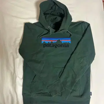 Patagonia 후드티