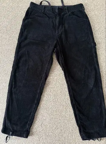 engineered garments 페인터 팬츠