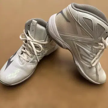 MIZUNO WAVE DIVERSE 25.0cm