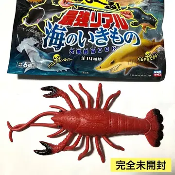 늘어나는! 최강 리얼 바다 생물 랍스터