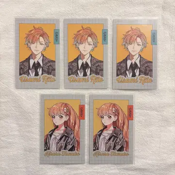 니지산지 폴라로이드 세트 판매