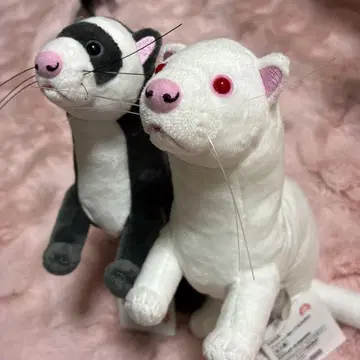 FANS 페렛 봉제 인형 BIG 2세트 화이트와 블랙