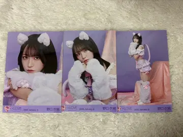 이코라브 노구치 이오리 브로마이드 고양이 컴프