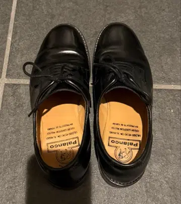 Palanco 파란코 레이스업 슈즈