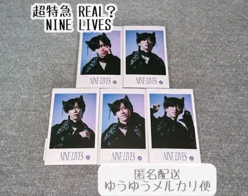 초특급 료가 미니 사진 NINE LIVES 컴프