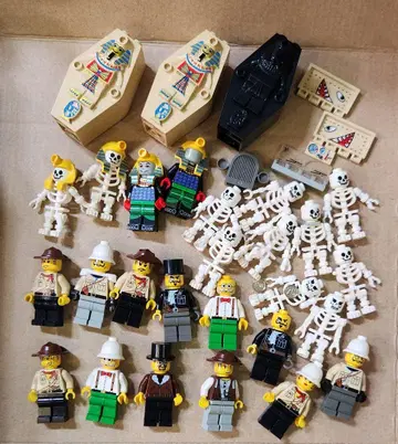 LEGO 미니 피규어 세계의 모험 시리즈 119