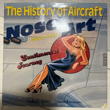 The History of Aircraft Nose Art 노즈 아트