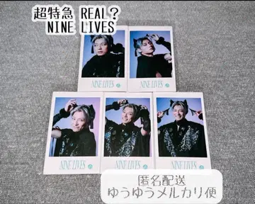 초특급 하와이안 미니 사진 NINE LIVES 컴프