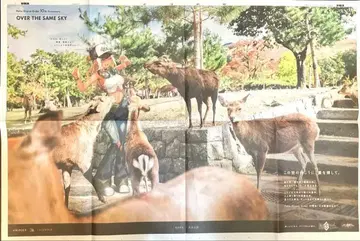 FGO Fate/Grand Order 10주년 나라신문 안드로메다 희소