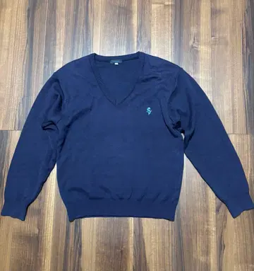 사가미 여자대학 고등부 스웨터