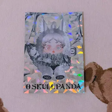 SKULLPANDA XG 콜라보 트레이딩 카드