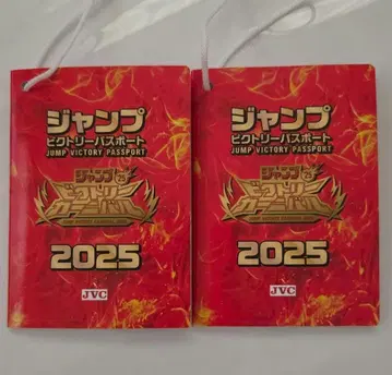 2장 입장 점프 페스타 여권 점프 빅토리 카니발 2025