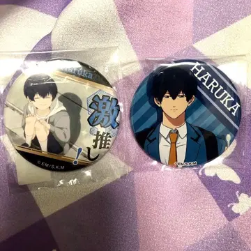 망각 배터리 로손 최애 캔뱃지 청봉하류화 시크릿