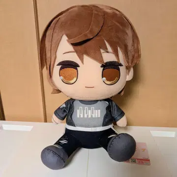 컬러풀 피치 우리 커다란 BIG 봉제 인형 빅