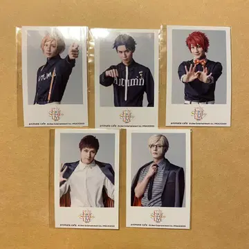 에이스테 애니 카페 포토 카드 가을조