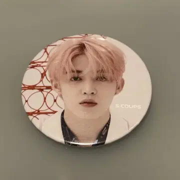 에스크 SEVENTEEN 24H 캔뱃지 scoups