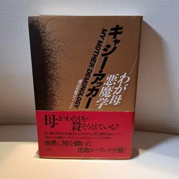 나의 어머니 악마학 캐시 아커 백수사