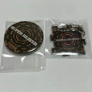 진미래제 2025 가챠 슈퍼 비버 캔뱃지 아크릴 키링