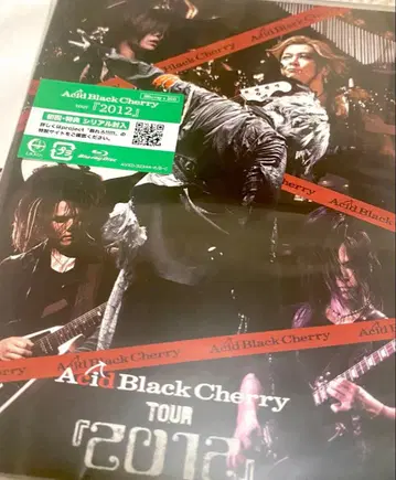 Acid Black Cherry 2012 DVD