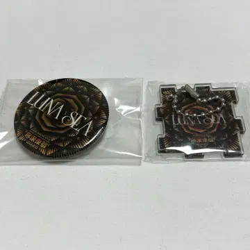 진미래제 2025 가챠 LUNA SEA 캔뱃지 아크릴 키링