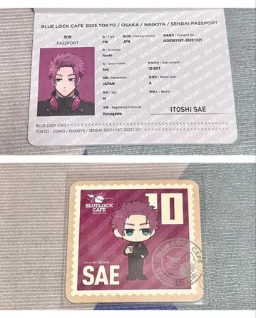 이토시 사에 여권 블루 록 카페 special trip 코스터