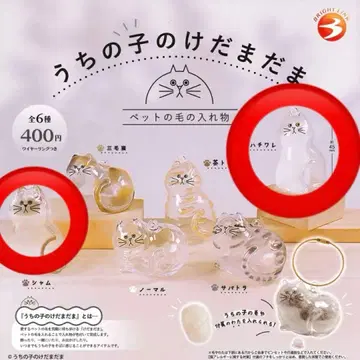 우리 아이 털뭉치 가챠 샤무 하치와레 2개 세트