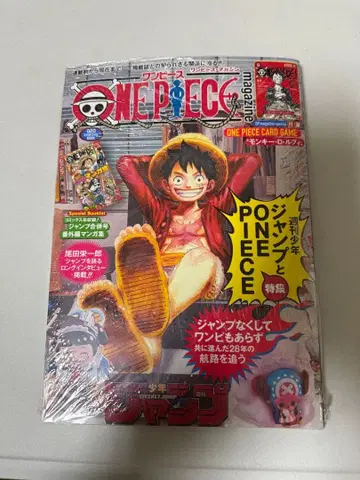 NE PIECE magazine 20