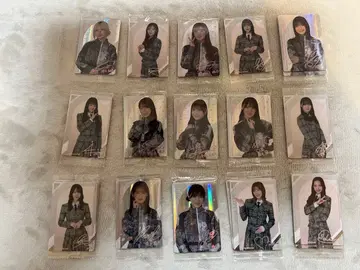 사쿠라자카46 사카미치 시리즈 아이돌 사진 카드 세트