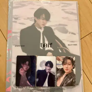 STRAY KIDS SKZ DOIT IT ver 창빈 컴플리트