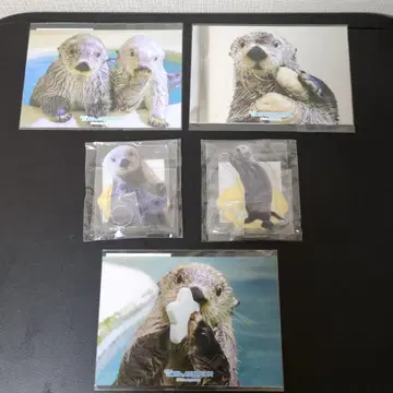 캡슐 복권 5세트 토바 수족관