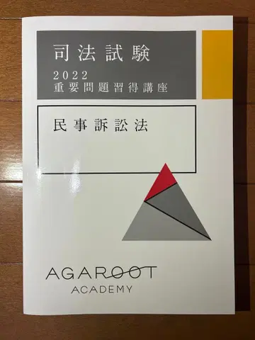 아갈루트 민사소송법 중요 문제 습득 강좌 2022 텍스트