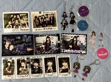 슈레견 폴라로이드, 와이드 폴라로이드, 아크링 키링