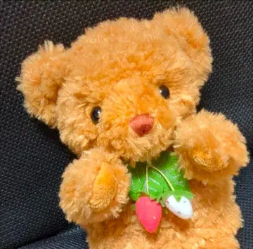 퍼펫 베어 테이크오프 테디베어 봉제 인형 퍼펫 곰 베어