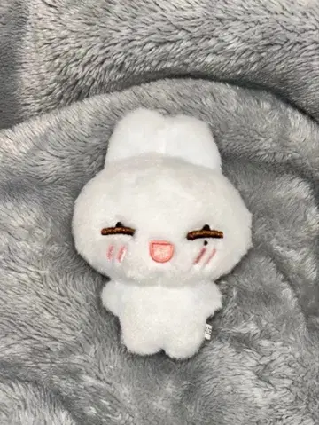 ENHYPEN 선우 10cm 봉제 인형(12cm)