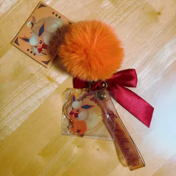 이브이 컬렉션 키링 Eevee Collection 부스터