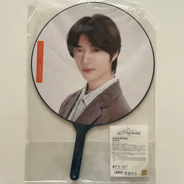 TXT ACT:PROMISE 부채 범규