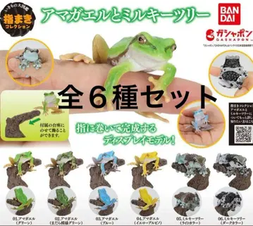 생물대도감 손가락말이 컬렉션 청개구리와 밀키 트리 [전 6종]
