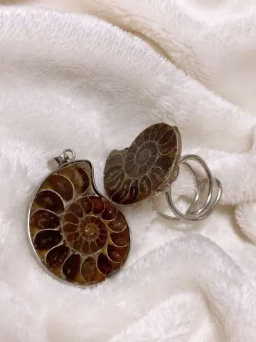 아메모 나이트 펜던트 탑 반지 세트