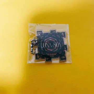 LUNA SEA 진미래제