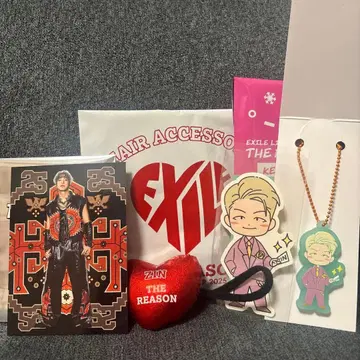 EXILE THE REASON ZIN 굿즈 세트