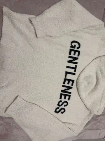 GYDA GENTLENESS 몰 얀 니트 후드티